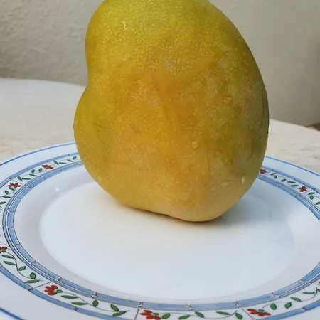 Paradise Apartment